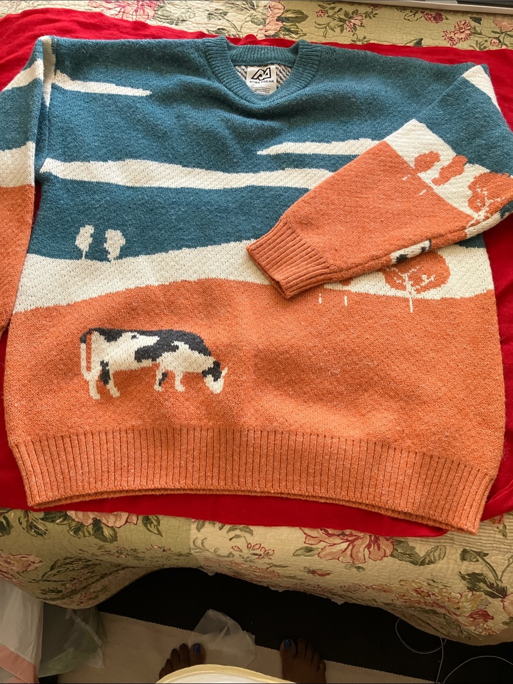 Men's Scenic Crewneck Sweater - Teal, Rust & Cream